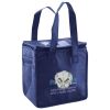 Lunch Tote  Insulated Thumbnail