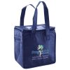 Lunch Tote  Insulated Thumbnail