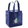 Lunch Tote  Insulated Thumbnail