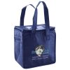 Lunch Tote  Insulated Thumbnail