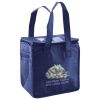 Lunch Tote  Insulated Thumbnail