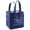 Lunch Tote  Insulated Thumbnail