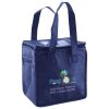 Lunch Tote  Insulated Thumbnail