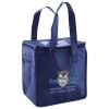 Lunch Tote  Insulated Thumbnail