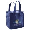 Lunch Tote  Insulated Thumbnail