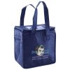 Lunch Tote  Insulated Thumbnail