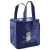 Lunch Tote  Insulated Thumbnail