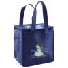 Lunch Tote  Insulated Thumbnail