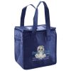 Lunch Tote  Insulated Thumbnail
