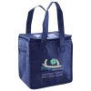 Lunch Tote  Insulated Thumbnail