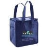 Lunch Tote  Insulated Thumbnail