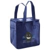 Lunch Tote  Insulated Thumbnail