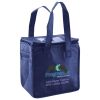 Lunch Tote  Insulated Thumbnail