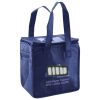Lunch Tote  Insulated Thumbnail