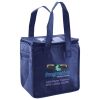Lunch Tote  Insulated Thumbnail