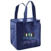 Lunch Tote  Insulated Thumbnail