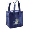 Lunch Tote  Insulated Thumbnail