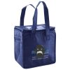 Lunch Tote  Insulated Thumbnail