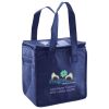 Lunch Tote  Insulated Thumbnail