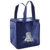 Lunch Tote  Insulated Thumbnail