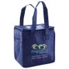 Lunch Tote  Insulated Thumbnail