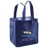 Lunch Tote  Insulated Thumbnail