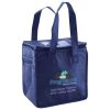 Lunch Tote  Insulated Thumbnail