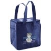 Lunch Tote  Insulated Thumbnail