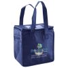 Lunch Tote  Insulated Thumbnail