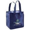 Lunch Tote  Insulated Thumbnail