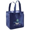 Lunch Tote  Insulated Thumbnail