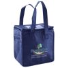 Lunch Tote  Insulated Thumbnail