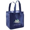 Lunch Tote  Insulated Thumbnail