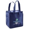Lunch Tote  Insulated Thumbnail