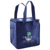 Lunch Tote  Insulated Thumbnail