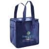 Lunch Tote  Insulated Thumbnail