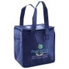 Lunch Tote  Insulated Thumbnail