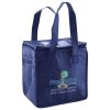 Lunch Tote  Insulated Thumbnail