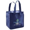 Lunch Tote  Insulated Thumbnail