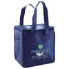 Lunch Tote  Insulated Thumbnail