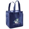 Lunch Tote  Insulated Thumbnail