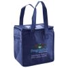 Lunch Tote  Insulated Thumbnail