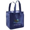 Lunch Tote  Insulated Thumbnail