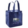 Lunch Tote  Insulated Thumbnail