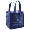 Lunch Tote  Insulated Thumbnail