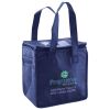 Lunch Tote  Insulated Thumbnail