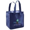 Lunch Tote  Insulated Thumbnail