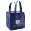 Lunch Tote  Insulated Thumbnail