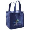 Lunch Tote  Insulated Thumbnail