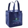 Lunch Tote  Insulated Thumbnail
